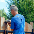 Understanding the Services Offered by Fence Contractors for Maintenance and Repair
